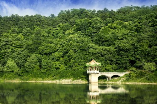 Kinija, Guiyang, Guizhou, Ilgojo Nuolydžio Griuvėsiai Nacionalinis Miško Parkas, Ilgas Nuolydis, Miško Parkas, Medis, Mažas Ežeras, Medžio Siena