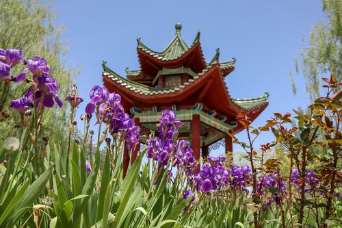 Kinų Pastatas,  Gėlės,  Sodas,  Architektūra,  Tradicinis,  Šventė