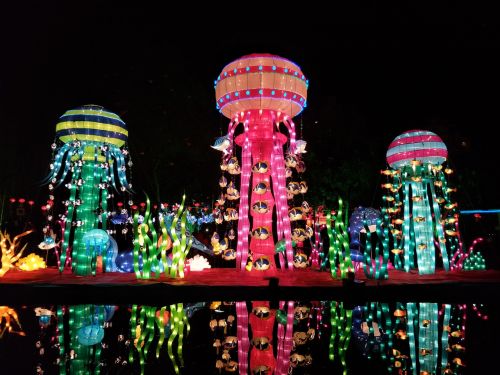 Kinų Naujieji Metai, Naktis, Žibintų Festivalis, Žuvis