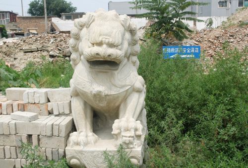 Liūtas,  Statula,  Skulptūra,  Kinija,  Kinai,  Kiniškojo Stiliaus Liūto Statula