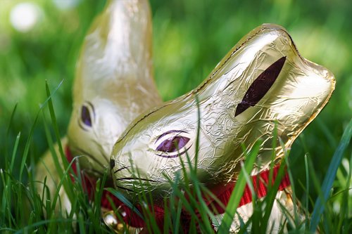 Šokolado,  Bunny Mergina,  Velykų,  Tradicijos,  Golden,  Kiškis,  Pavasaris,  Žolės