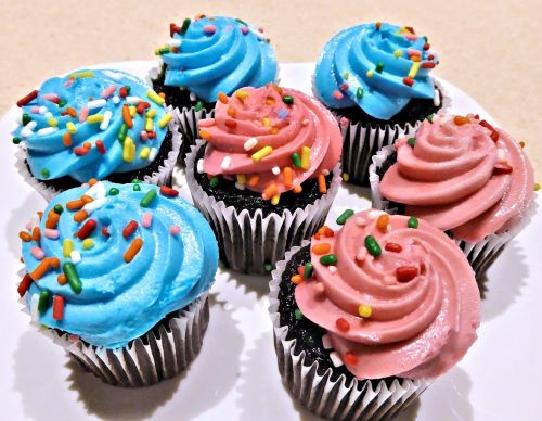Šokolado Mini Cupcakes,  Mėlyna Rožinė Kailis,  Purškiamos,  Saldus,  Maistas