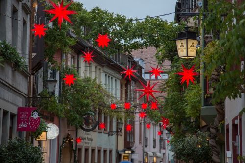 Kalėdos, Poinsettia, Adventas, Freiburgas, Seminarijos Gatvė