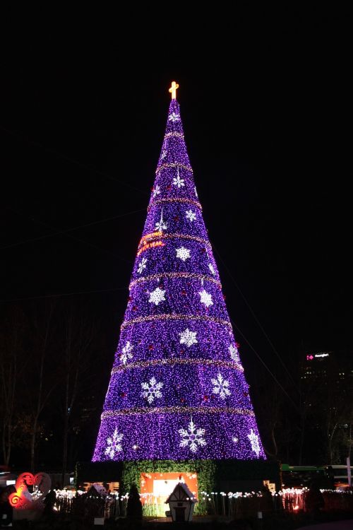 Kalėdos, Naktinis Vaizdas, Medis, Violetinė