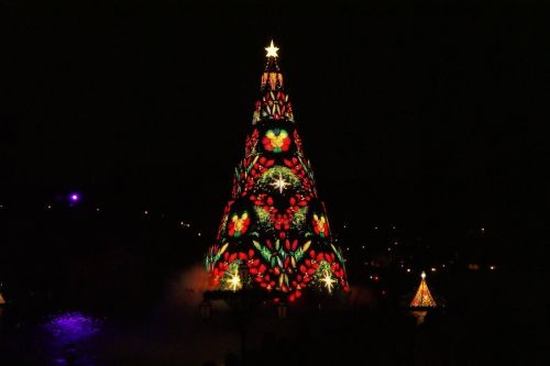 Kalėdos, Medis, Įsižiebti, Naktis
