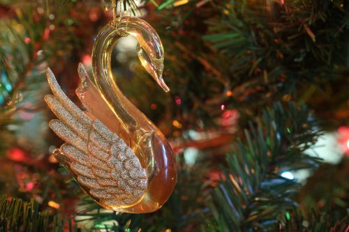 Kalėdos, Gulbė, Ornamentas