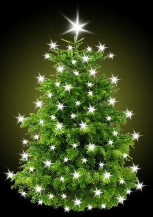 Kalėdos, Kalėdų Eglutė, Medis, Žvaigždė, Apšvietimas, Šviesa, Lichterkette, Kalėdų Motyvas, Kalėdų Puošimas, Kūčios, Kalėdų Laikas, Kontempliatyvas, Atvirukas, Kalėdų Sveikinimas