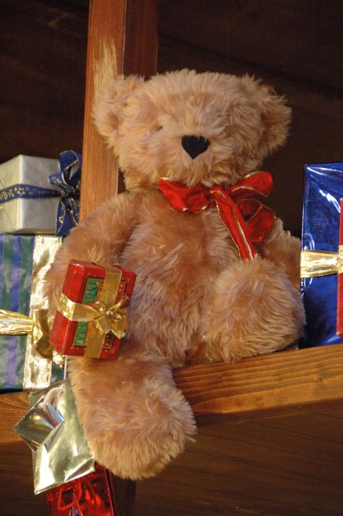 Kalėdos, Nikolas, Kalėdų Laikas, Gruodžio Mėn ., Teddy