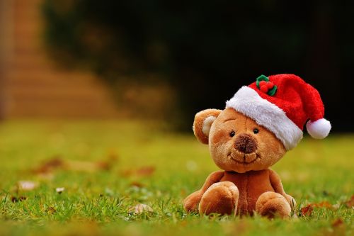 Kalėdos, Teddy, Minkštas Žaislas, Santa Skrybėlė, Juokinga