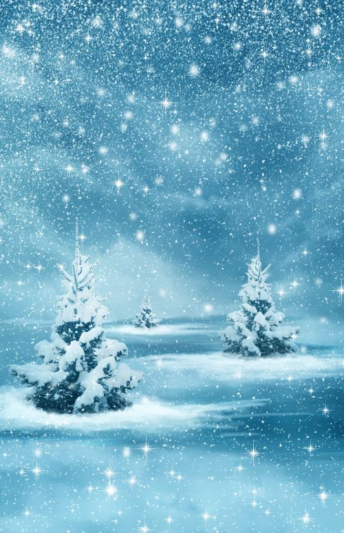 Kalėdos, Naujieji Metai, Fonas, Žiema, Gamta, Miškas, Medžiai, Montavimas, Sniegas, Šaltis, Naktis, Fantazija, Šventė, Pasaka, Atvirukas, Vertikalus