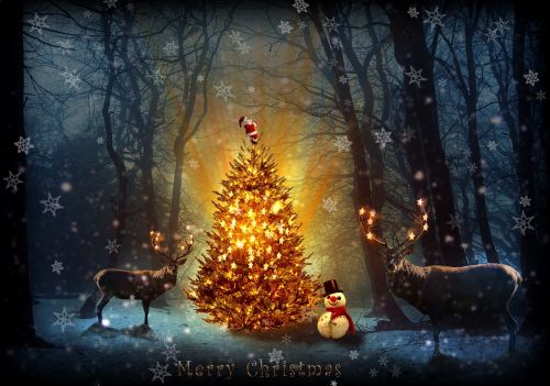 Kalėdos, Photoshop, Manipuliavimas, Kalėdų Eglutė, Sniego Senis