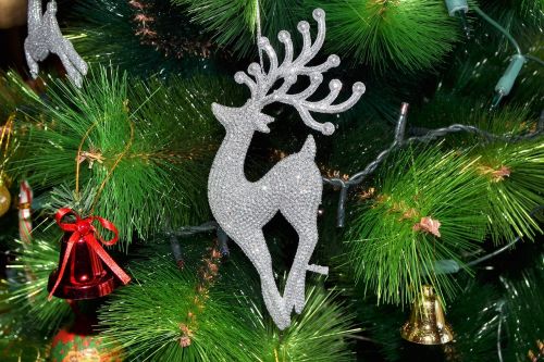 Kalėdos, Medis, Kalėdų Eglutė, Linksmų Kalėdų