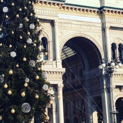 Kalėdos, Galerija, Piazza Duomo