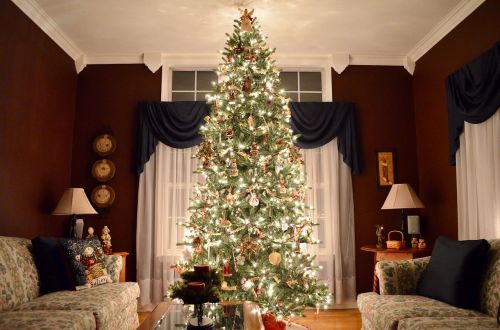 Kalėdos, Medis, Kalėdų Eglutė, Apdaila, Ornamentas, Sezoninis, Sezonas