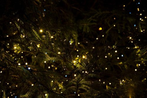 Kalėdos, Žibintai, Medis, Dekoruoti