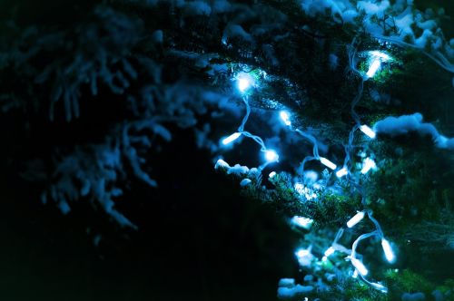 Kalėdos, Žibintai, Medis, Naktis, Tamsi, Žiema