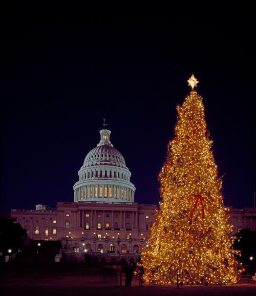 Kalėdos, Medis, Capitol, Pastatas, Vyriausybė, Vašingtonas, Usa, Apdaila, Žiema, Šventė, Sezonas, Žibintai, Spalvinga, Naktis