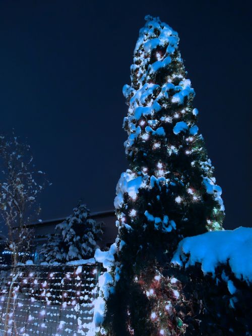 Kalėdos, Kalėdų Žiburiai, Sniegas