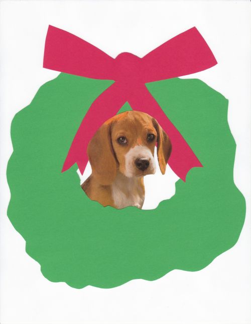 Šuo,  Gyvūnai,  Beagle,  Šventė,  Kalėdos,  Vainikas,  Kalėdų Baglio Šuo