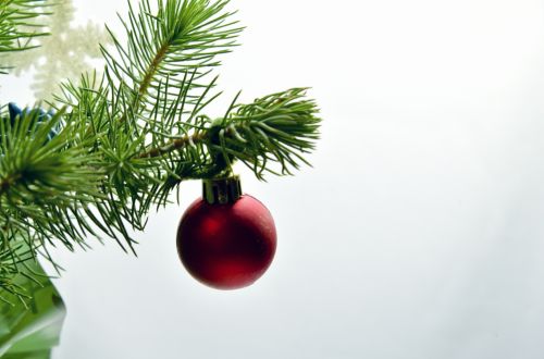 Kalėdos,  Filialas,  Medis,  Ornamentas,  Raudona,  Kalėdų Šaka