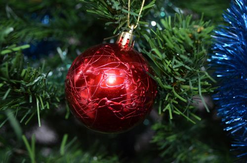 Kalėdos,  Ornamentas,  Išsamiai,  Žalias,  Šventė,  Linksmas,  Sezoninis,  Medis,  Žiema,  Xmas,  Šviesa,  Tamsi,  Kalėdų Dekoracijos