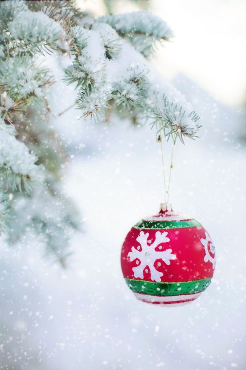 Kalėdinis Ornamentas, Lemputė, Snieguotas Medis, Pušis, Eglė, Kalėdos, Apdaila, Xmas, Ornamentas, Šventė, Žiema, Šventė, Šventinis, Sezonas, Medis, Rutulys, Sezoninis, Linksmas, Raudona, Tradicinis, Dizainas