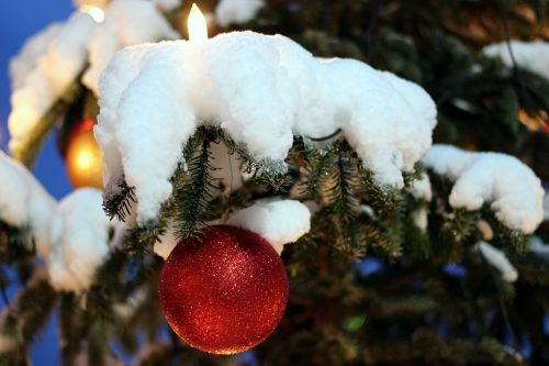 Kalėdinis Ornamentas, Kalėdų Eglutė, Snieguotas, Kalėdos, Medžio Dekoracijos, Kalėdų Papuošalai, Apdaila, Raudona, Eglė, Žiema