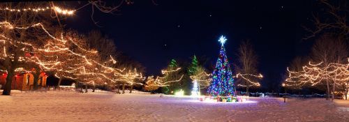 Kalėdų Miestas, Xmas Tree, Žiema, Šventė, Sezonas, Naktis, Kaimas, Gruodžio Mėn .