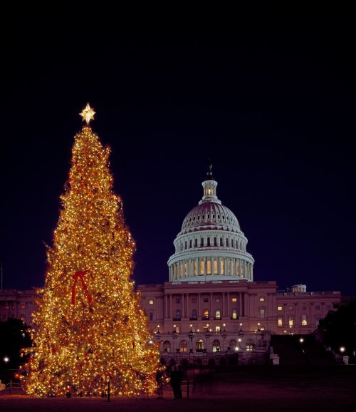 Kalėdų Eglutė, Capitol Pastatas, Vašingtonas, Žibintai, Šventinis, Kalėdos, Dekoracijos, Žvaigždė, Šventė, Architektūra, Kupolas, Naktis, Šviesus, Žiema, Sezonas