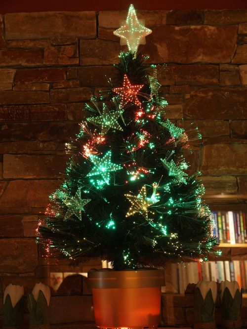 Kalėdų Eglutė, Sodinukai, Kalėdos, Medis, Kalėdų Laikas, Šviesa, Ornamentas