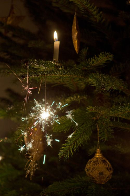 Kalėdų Eglutė, Sparkleris, Žvakė, Bambukai, Xmas, Kalėdos, Adventas