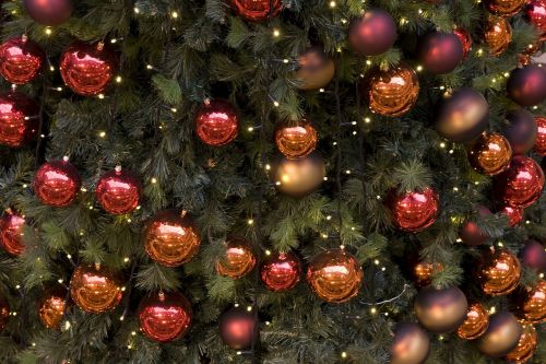 Kalėdų Eglutė, Kalėdiniai Dekoracijos, Naktis, Apšvietimas, Raudona, Žalias, Žiema
