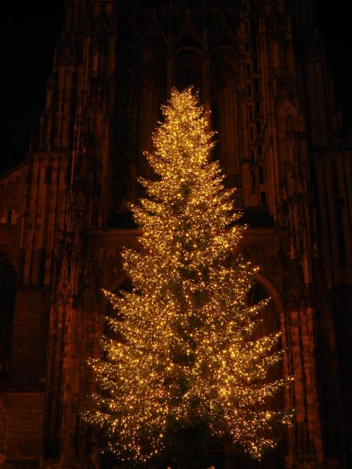 Kalėdų Eglutė, Kalėdos, Münsteris, Ulmi Katedra, Bažnyčia, Bokštas, Apšvietimas, Lempos, Kalėdų Puošimas, Katedros Aikštė, Ulm, Kalėdiniai Dekoracijos, Naktis, Tamsi