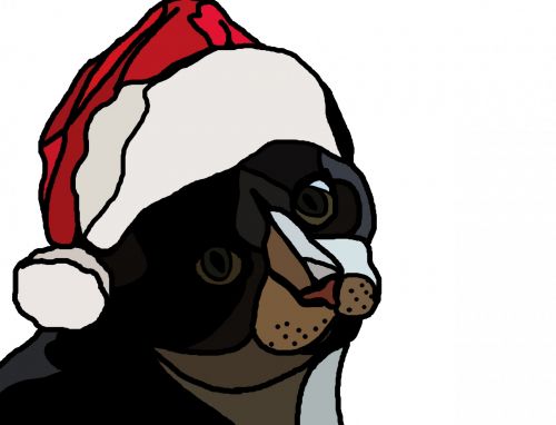 Kalėdos,  Smokingas,  Katė,  Santa,  Skrybėlę,  Apdaila,  Kalėdų Tuxedo Katė