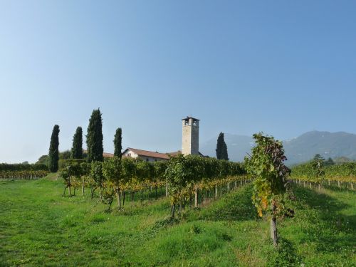 Bažnyčia, Vynuogynai, Bergamo, Kampanija