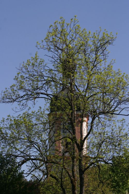 Bažnyčia, Pavasaris, Medžiai, Schambach, Schambach Slėnis, Altmühltal Gamtos Parkas, Altmühl Slėnis, Nuotaika