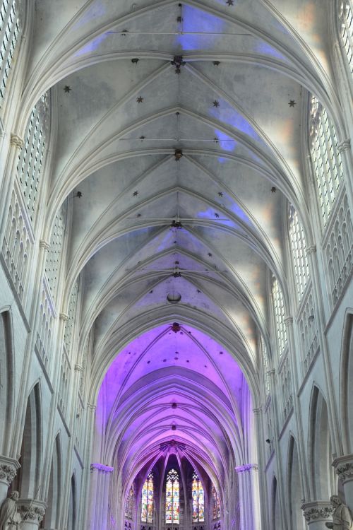 Bažnyčia, Pastatas, Saugyklos, Architektūra, St Rombouts Katedra, Mechelen