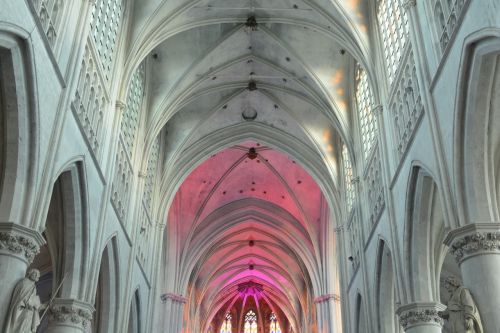 Bažnyčia, Pastatas, Saugyklos, Architektūra, St Rombouts Katedra, Mechelen