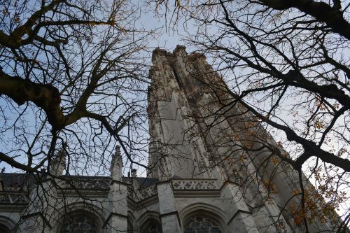 Bažnyčia, Pastatas, Architektūra, St Rombouts Katedra, Mechelen