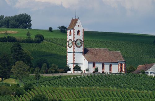 Bažnyčia,  Klettgau,  Vynuogynai,  Vynuogynas