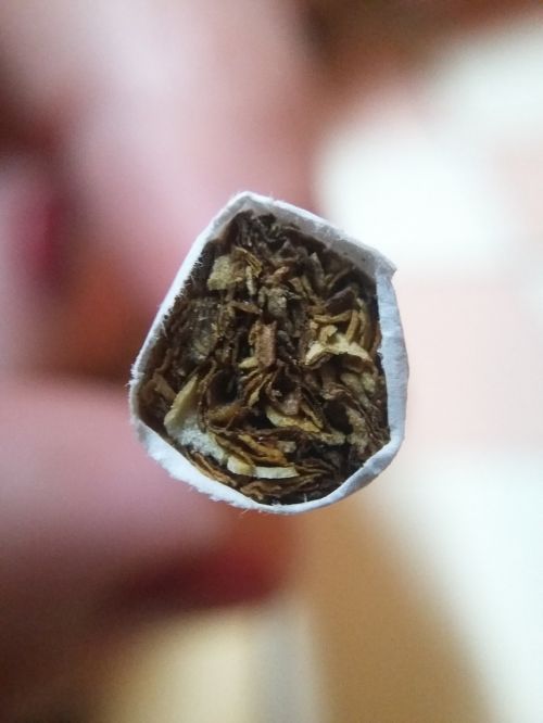 Cigarečių, Į Sveikatą, Rūkymas, Tabakas