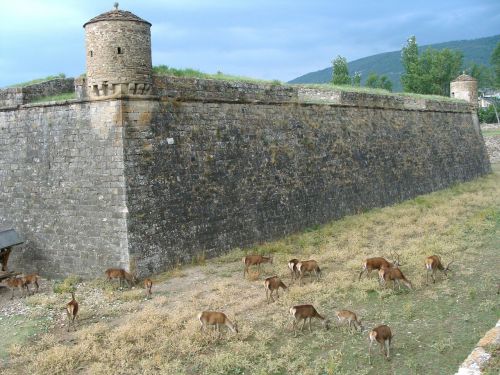 Citadelė, Fortifikacija, Jaca, Huesca, Jacetania