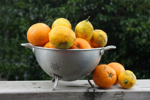 Citrusiniai, Apelsinai, Citrinos, Ekologiški Vaisiai, Vaisiai, Šviežias Vaisius, Ekologiškas