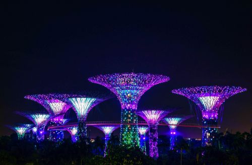 Miestas, Parkas, Singapūras, Naktis