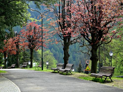 Miesto Szczawnica, Pieninis, Lenkija, Turizmas, Kelionė, Kelionė, Žalias