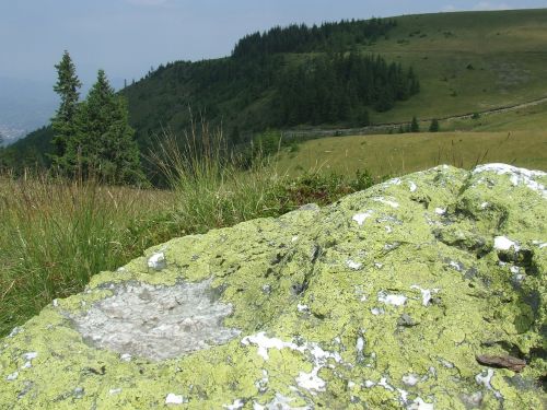 Uolos,  Zúzmó,  Gamta,  Pušis,  Cathy R Kalnai,  Transilvanija