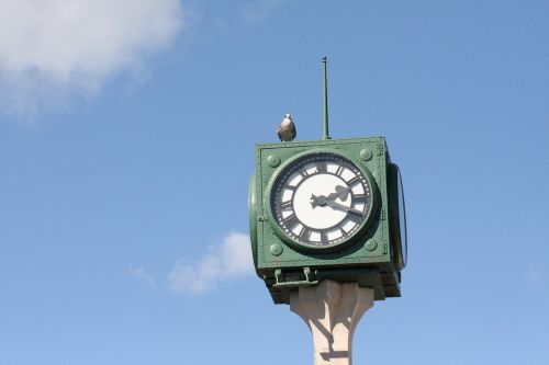 Laikrodis,  Jūros Paukštis,  Dangus
