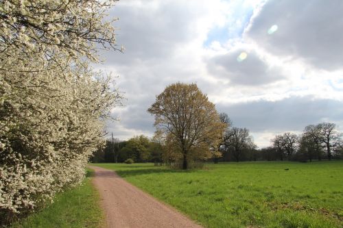 Debesys, Kelias, Laukas, Saulė