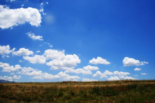 Veld,  Žolė,  Krūmas,  Dangus,  Mėlynas,  Debesys,  Balta,  Debesys Dideliame Mėlyname Danguje