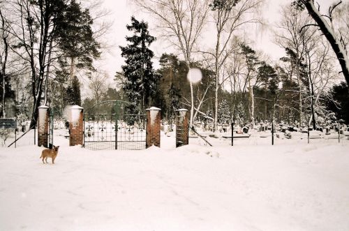 Kapinės,  Žiema,  Lublin,  Lenkija,  Kapinės Žiemą Netoli Lublino